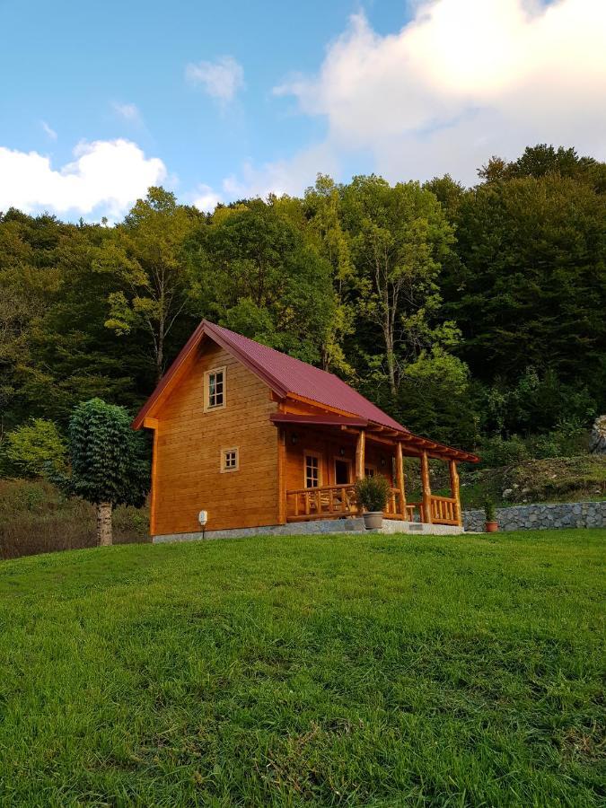 Holiday Home Milica 科拉欣 外观 照片
